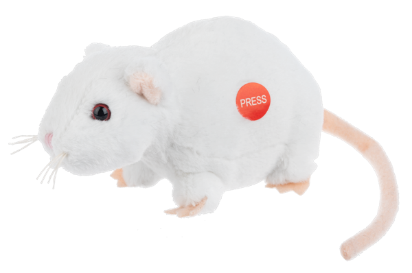 Soft Rats