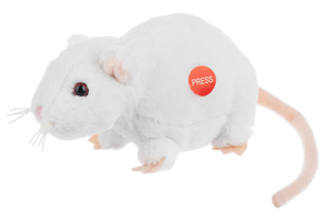 Soft Rats