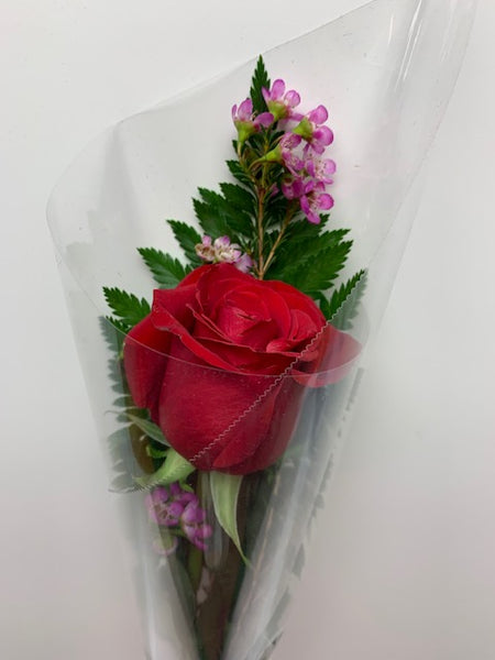 Single Long Stem Rose