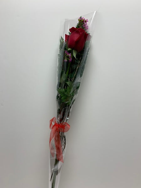 Single Long Stem Rose