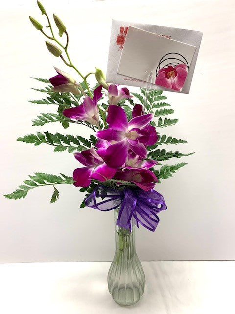 Orchid Bud Vase